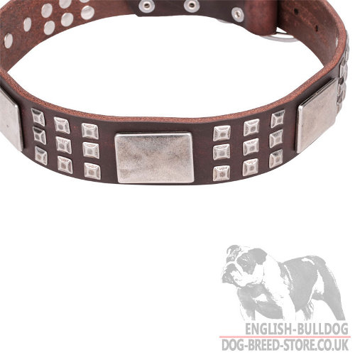 Leather Collars for English Bulldogs