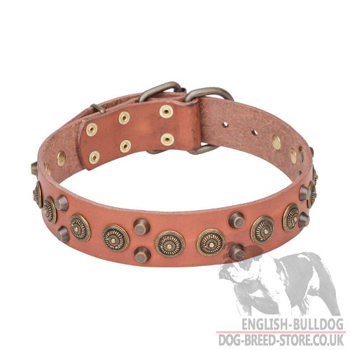 Leather Dog Collars for Bulldogs