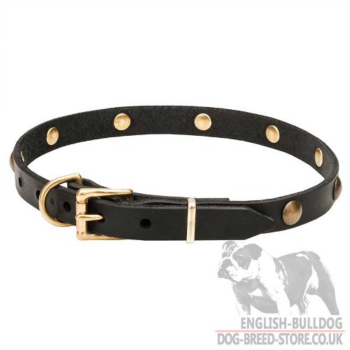 Narrow Leather Dog Collars