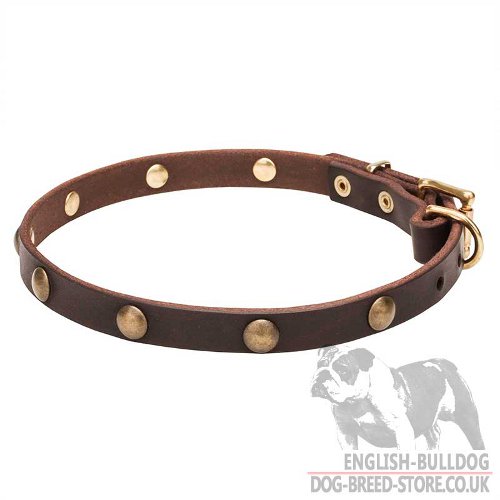 Necklace Dog Collar