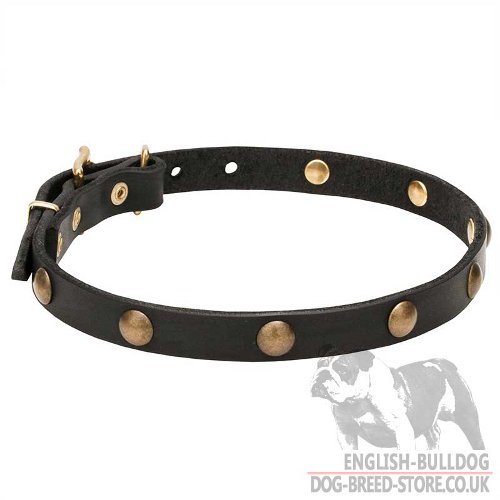 Studded Dog Collar Necklace