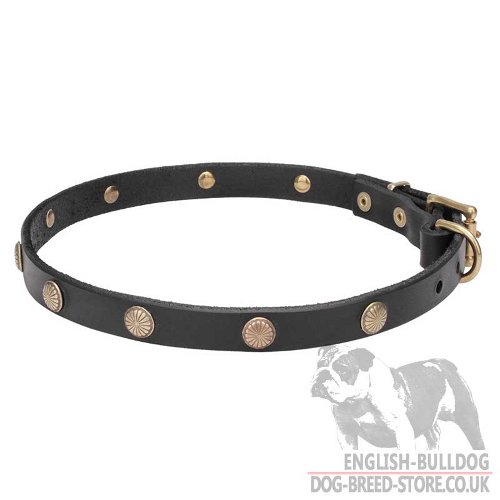 Necklace Dog Collar for Bulldog UK