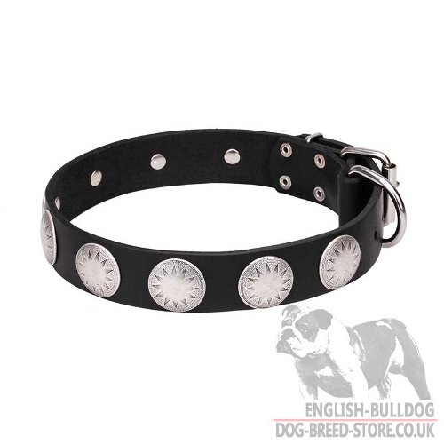 Super Cute Dog Collar UK