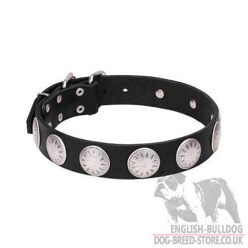 Super Dog Collar UK