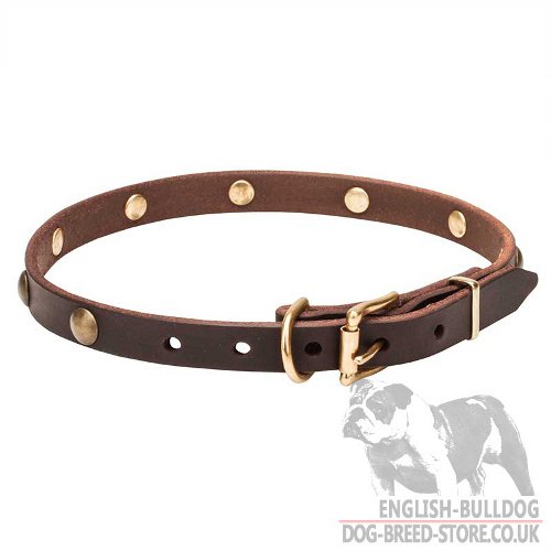 Super Thin Dog Collar