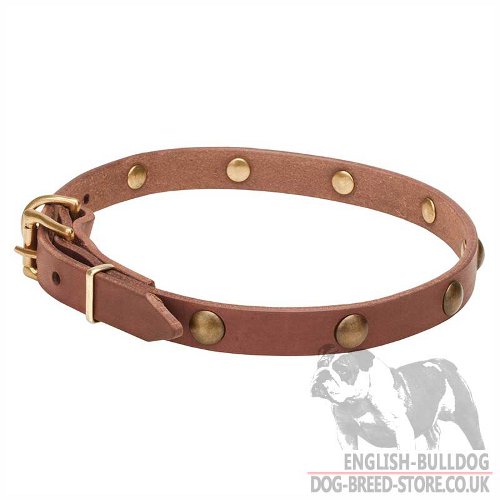 Thin Leather Dog Collar