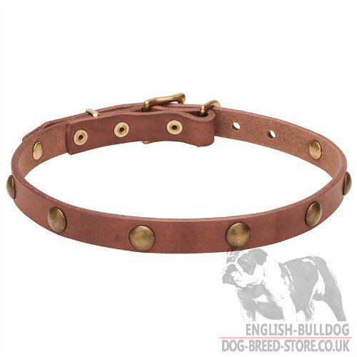 Thin Leather Dog Collars UK