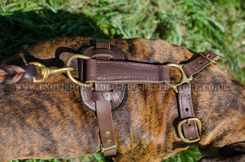 Boxer Dog Harnesses UK