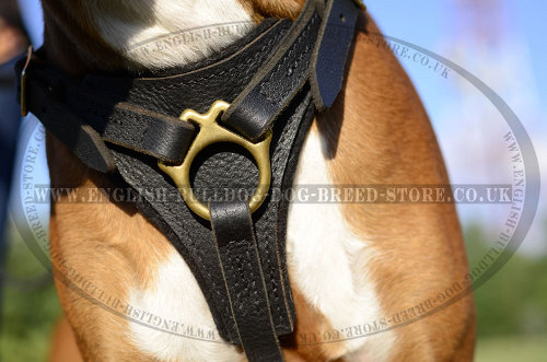 Boxer Leather Dog Harness