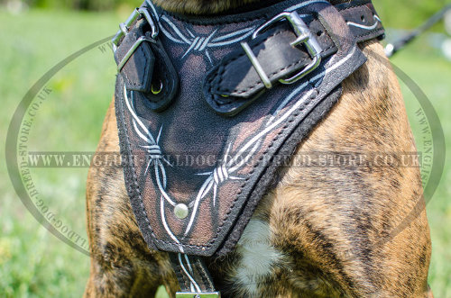 Boxer Leather Dog Harness