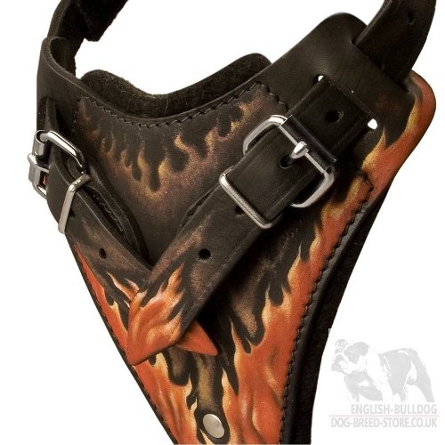 English Bulldog Leather Dog Harness