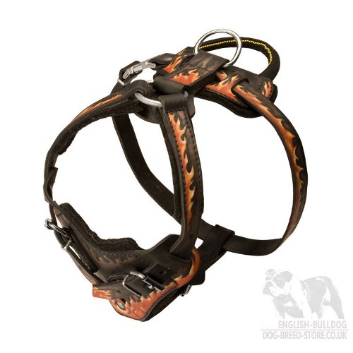 English Bulldog Leather Harness