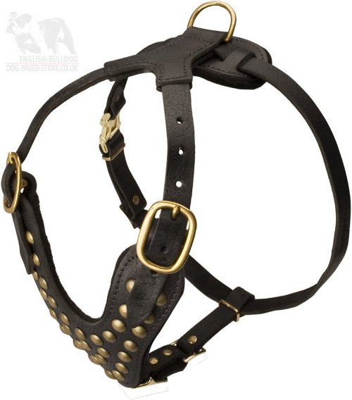 Leather Bulldog Chest Harness