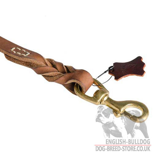 Best Bulldog Leash