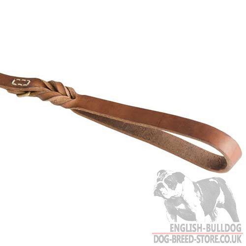 English Bulldog Leash