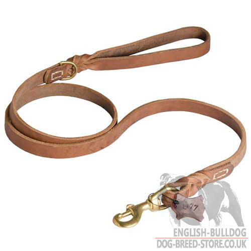 Leash for English Bulldog