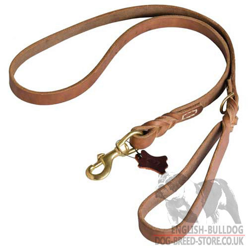 Training English Bulldog Walk Leash