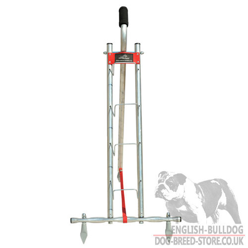 Dog Obedience Dumbbells for Sale