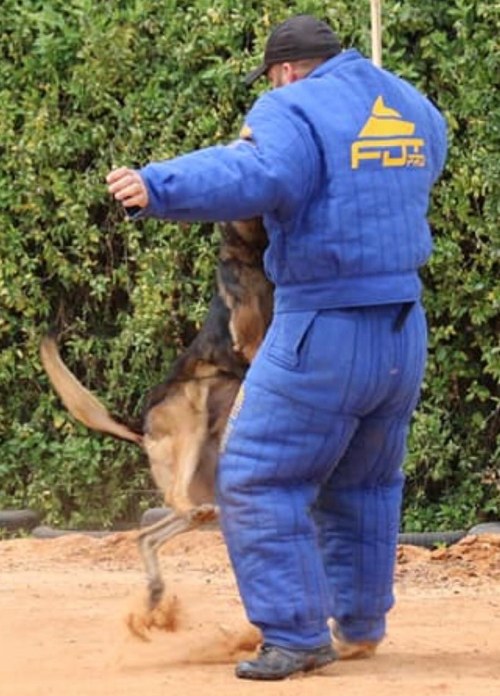 Dog Training Jacket