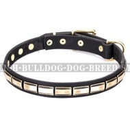 English Bulldog Collar Leather FDT Artisan "Wealth Effulgence"