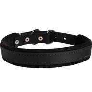 English Bulldog Collar of Soft Felt Padded Strong Narrow Leather