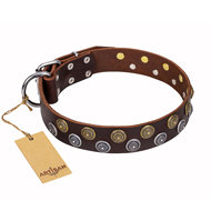 English Bulldog Dog Collar "Strong Shields" FDT Artisan, Brown