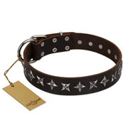 English Bulldog Leather Collar "Stars of Glory" Artisan, Brown