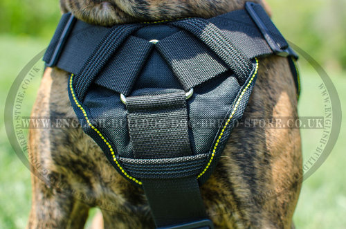 Best Boxer Dog Harness of Durable Nylon for Multifunctional Use