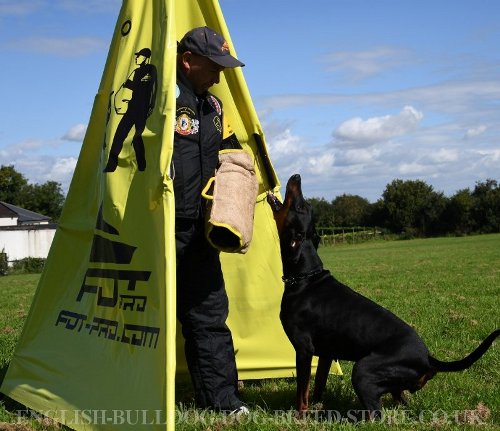 Best Dog Bite Sleeve with Jute Cover for WUSV and IGP