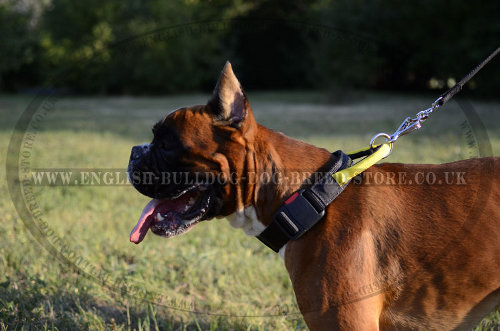 Boxer Dog Training Collar with Handle and Quick-Release Buckle