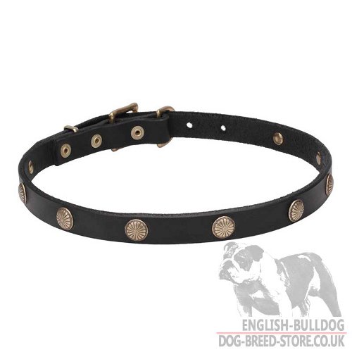 English Bulldog Necklace Dog Collar Studded with "Sunbeams" - Click Image to Close