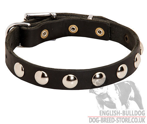 Dog Collar for Pug Walking of Narrow Leather with Studs Row