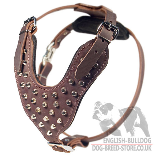 Dog Harness for British Bulldog and American Bulldog - Click Image to Close