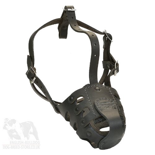 Dog Muzzle for American Bulldog Training and Walking of Leather