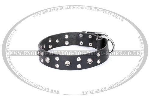 English Bulldog Collar Leather by FDT Artisan "Mystic Skulls"