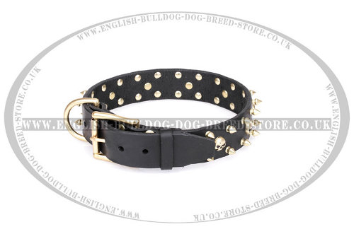 English Bulldog Collar "Rock Star" of Leather by FDT Artisan