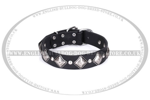 English Bulldog Collar "Silver Charm" Leather by FDT Artisan