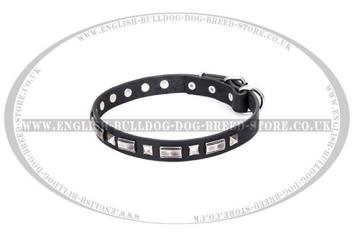 English Bulldog Collar by FDT Artisan "Supreme Elegance" - Click Image to Close