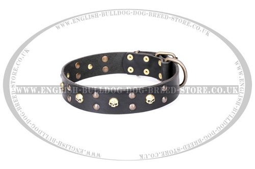 English Bulldog Collar Leather by FDT Artisan "Heavy Metal"