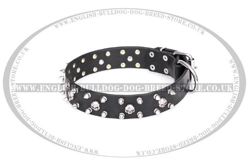 English Bulldog Collar by FDT Artisan "Jolly Roger's Spikes"