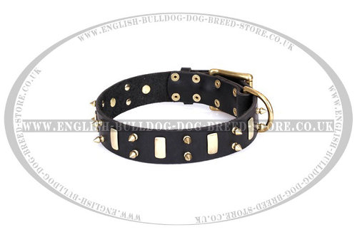 English Bulldog Collar of Leather "Medieval Style" FDT Artisan