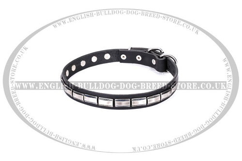 English Bulldog Collar Narrow Leather "Refined Classic" Artisan