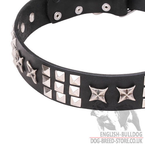 English Bulldog Leather Collar with Stars and Studs for Walking - Click Image to Close