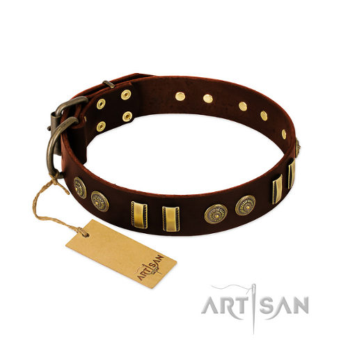 English Bulldog Leather Collar by FDT Artisan "Golden Elegance"