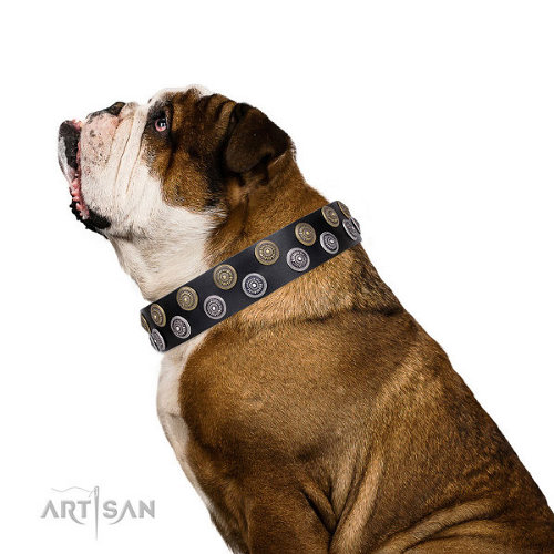 English Bulldog Studded Collar "Romantic Breeze" FDT Artisan