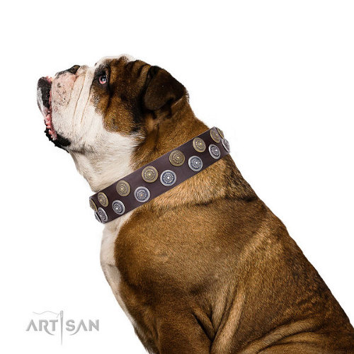 English Bulldog Studded Collar "Strong Shields" by FDT Artisan