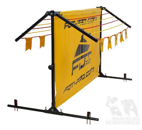 IGP Hurdle Jump with Removable Frame for Agility