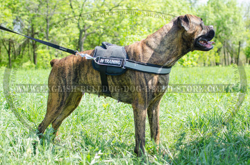 K9 Boxer Harness of Nylon with Patches and Reflective Strap