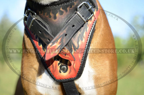 Leather Dog Harness for Boxer with Hand-Painted Flames of Fire