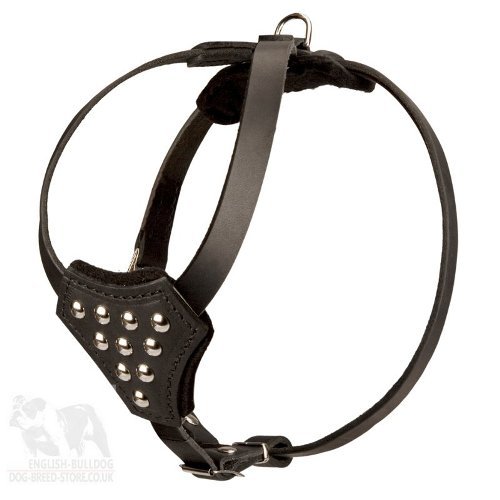 Leather Dog Harness for Pug Walking and Training with Studs